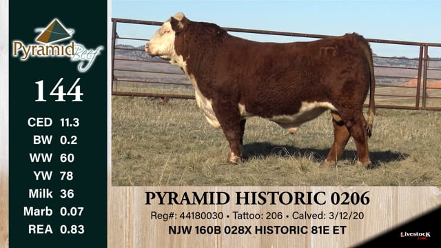 Lot #144 - PYRAMID HISTORIC 0206