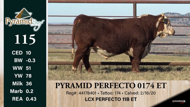 Lot #115 - PYRAMID PERFECTO 0174 ET