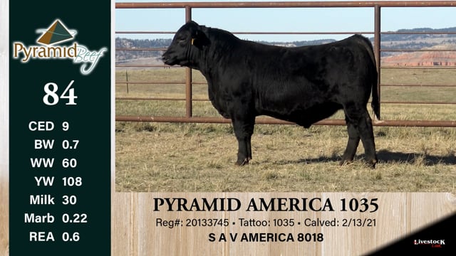 Lot #84 - PYRAMID AMERICA 1035