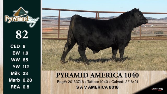 Lot #82 - PYRAMID AMERICA 1040
