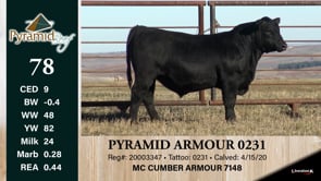 Lot #78 - PYRAMID ARMOUR 0231