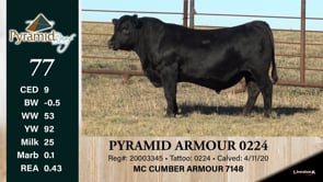 Lot #77 - PYRAMID ARMOUR 0224