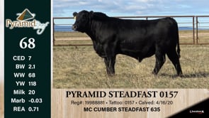 Lot #68 - PYRAMID STEADFAST 0157