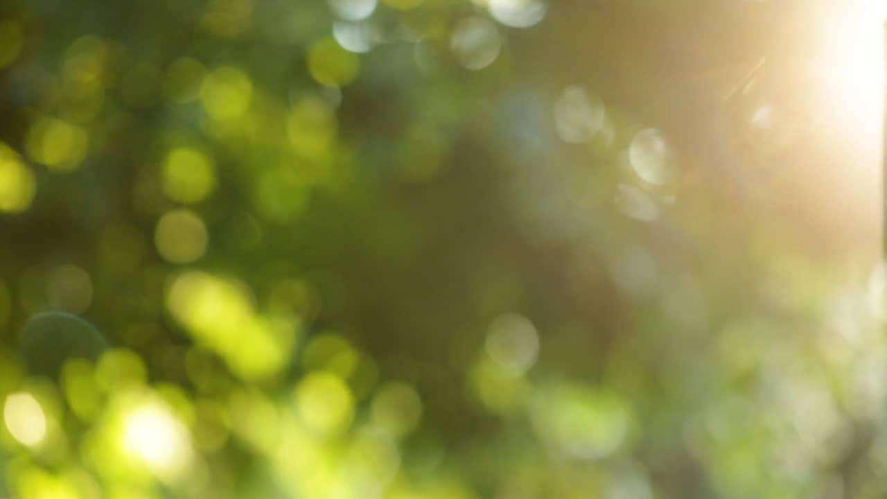 McLeod Benefits site Loop720.mp4 on Vimeo