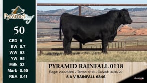 Lot #50 - PYRAMID RAINFALL 0118