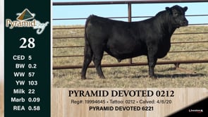 Lot #28 - PYRAMID DEVOTED 0212