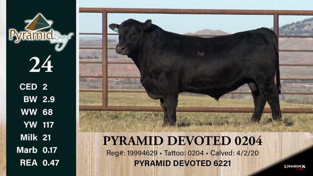 Lot #24 - PYRAMID DEVOTED 0204