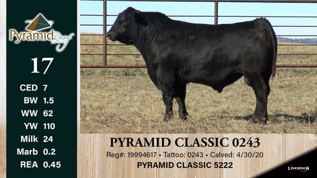 Lot #17 - PYRAMID CLASSIC 0243