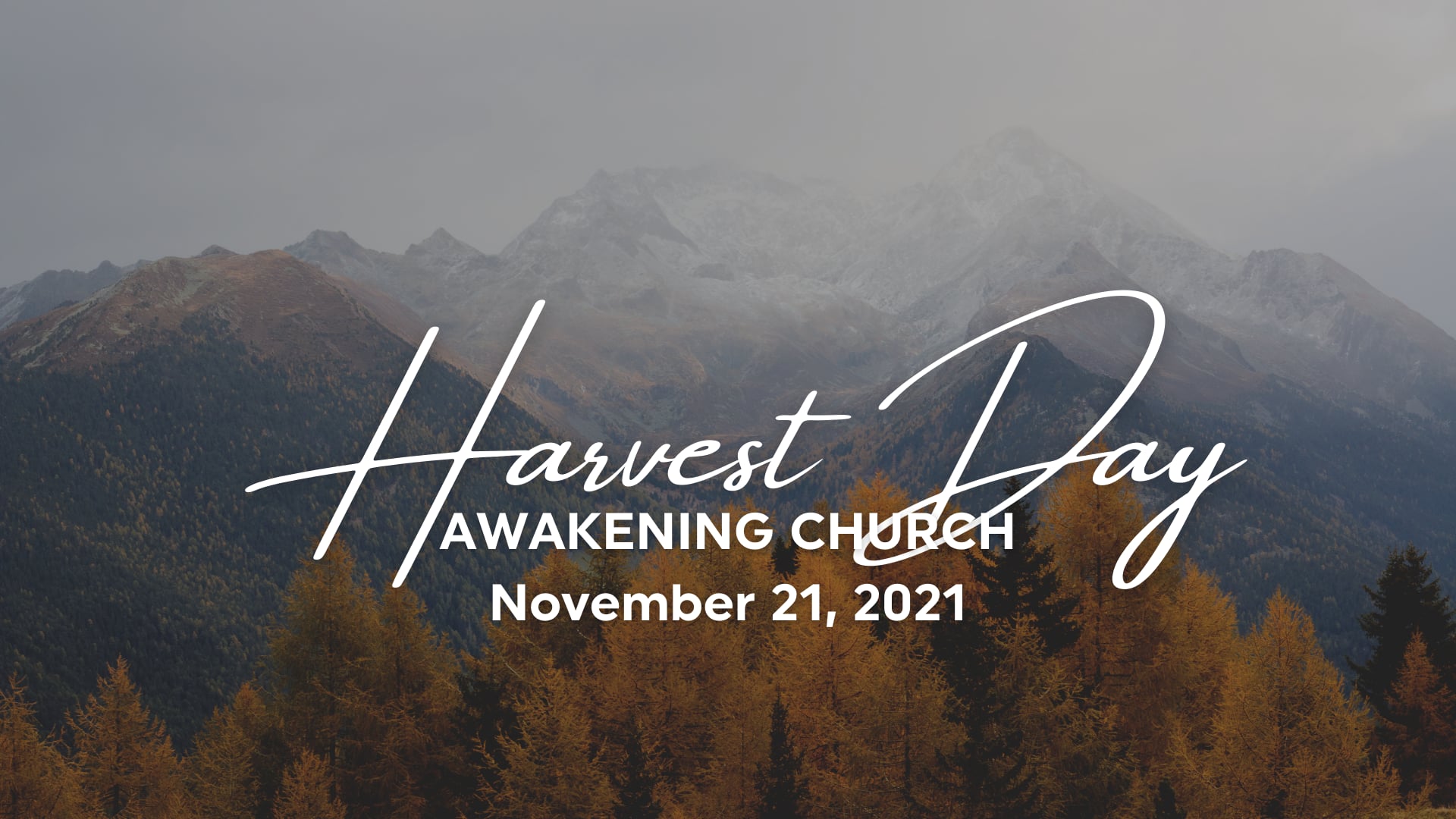 Harvest Day - November 21, 2021