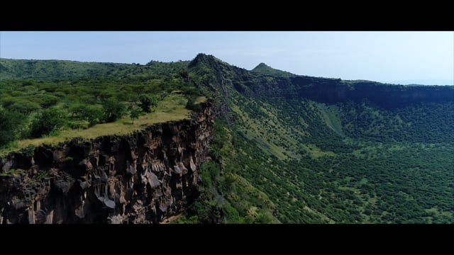 Happy ThanksGiving 2021