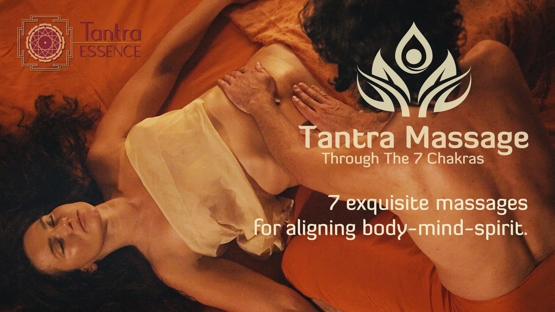 Yosh qizning mushuk jurnali