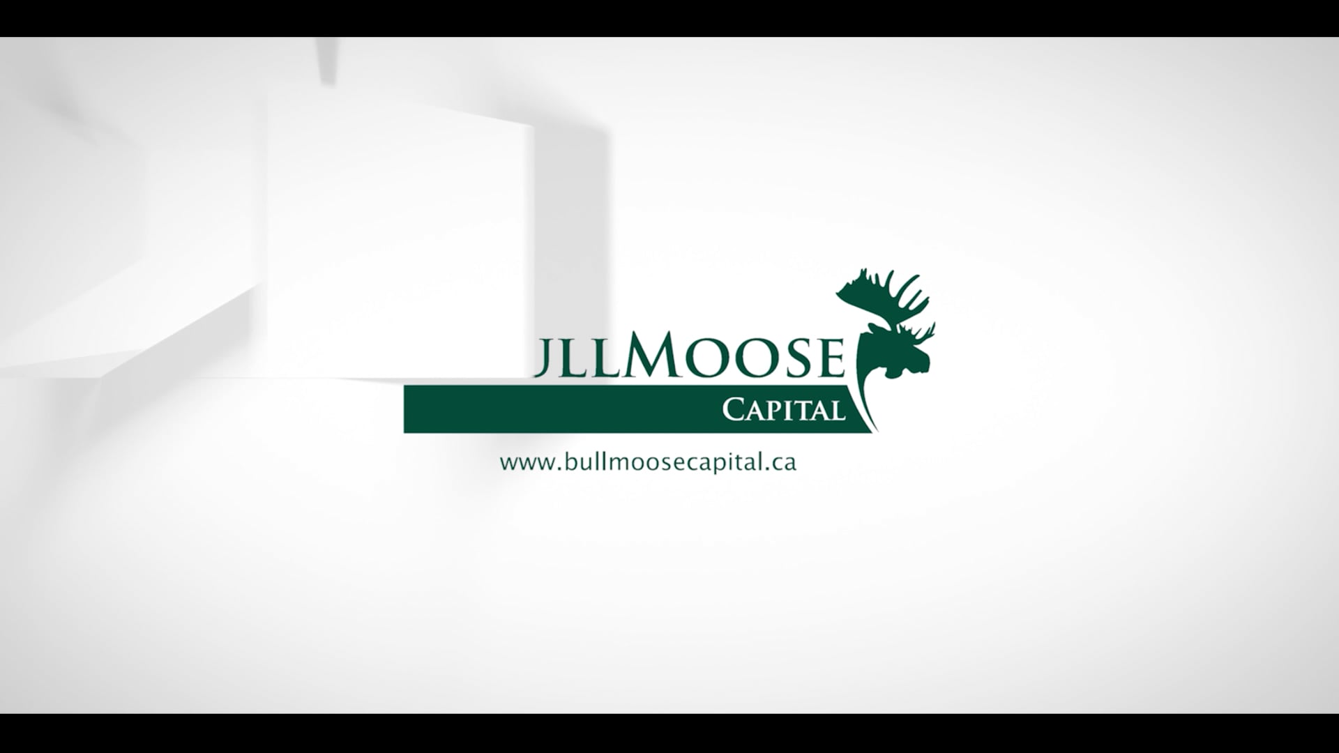 Bull Moose Capital Promo