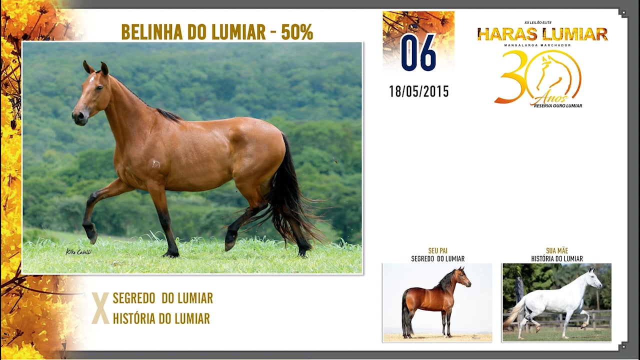 LOTE 06 BELINHA DO LUMIAR