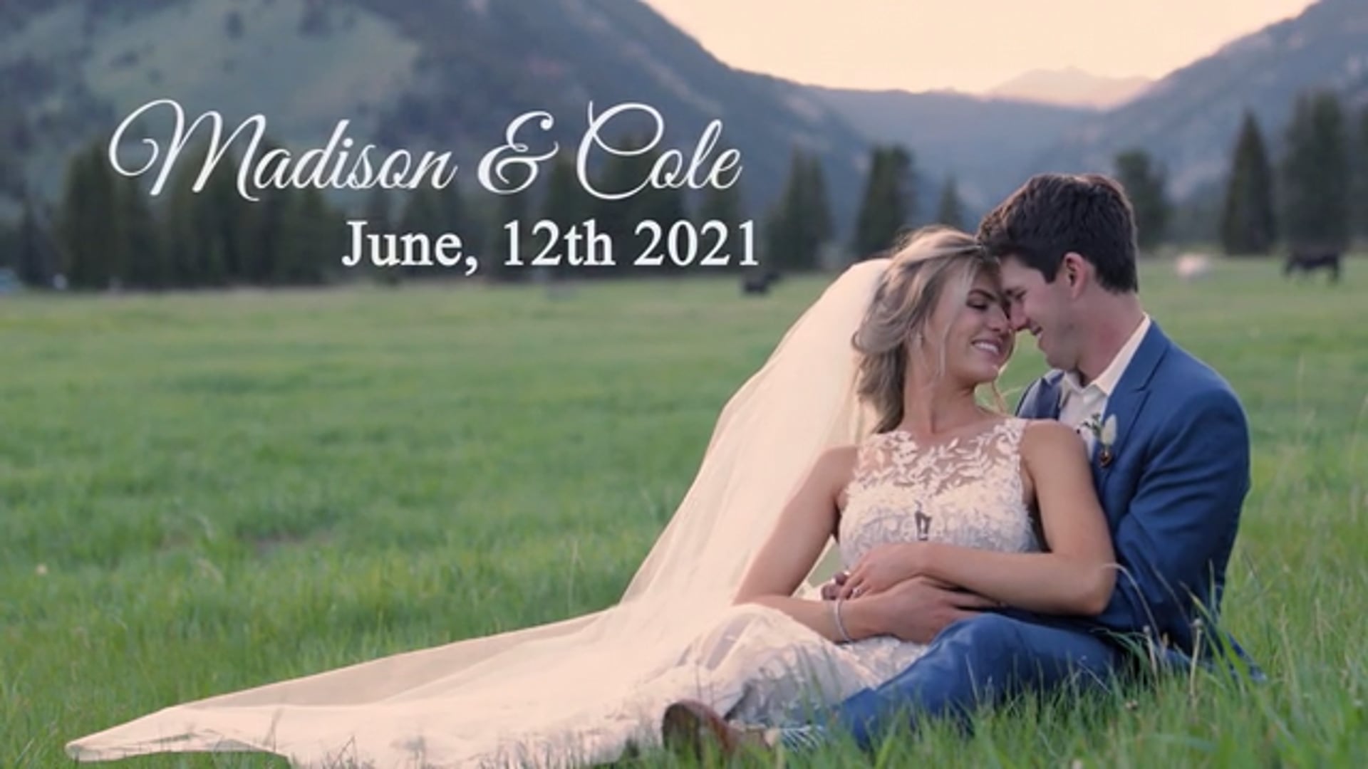 Madison & Cole