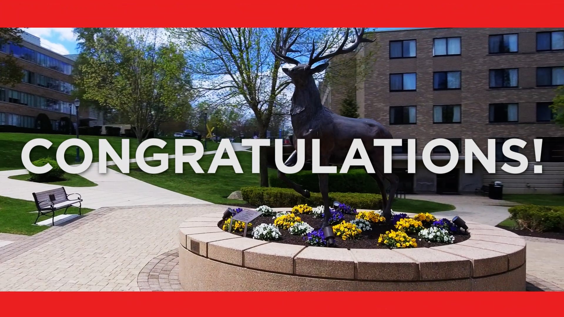 Congratulations | Fairfield University Graduate School