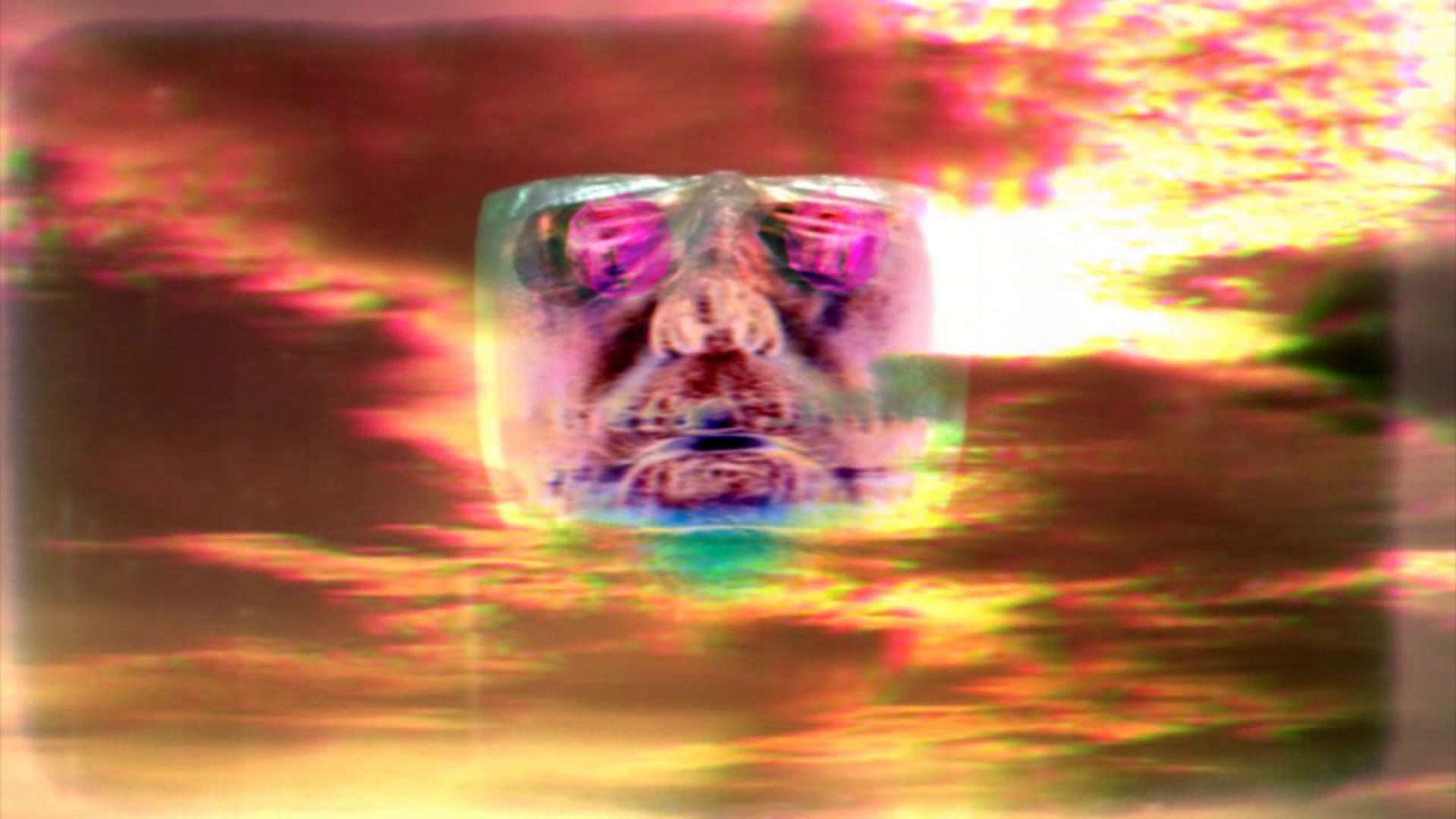 MicrowavewerewolveS - LA VIOLENZA E' KATTIVA !