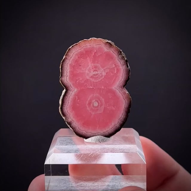 Rhodochrosite stalactites (polished slice)