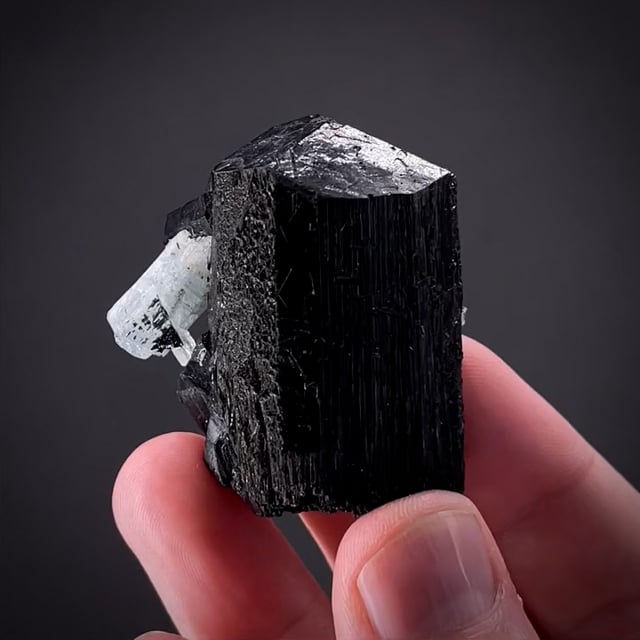 Aquamarine on Schorl