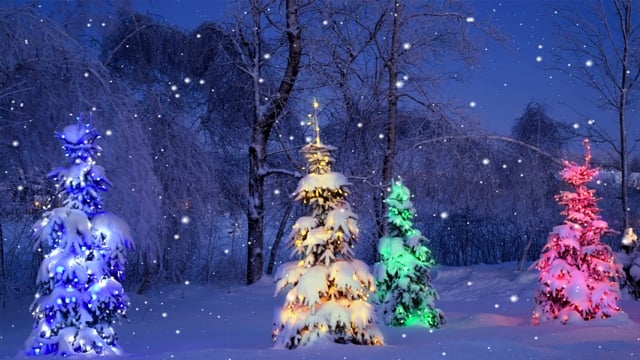 Hãy khám phá những hình ảnh tuyệt đẹp của Giáng Sinh trên trang web của chúng tôi để cảm nhận không khí đón lễ hội an lành và tràn đầy niềm vui.