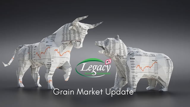 Grain Market Update 11.24.21
