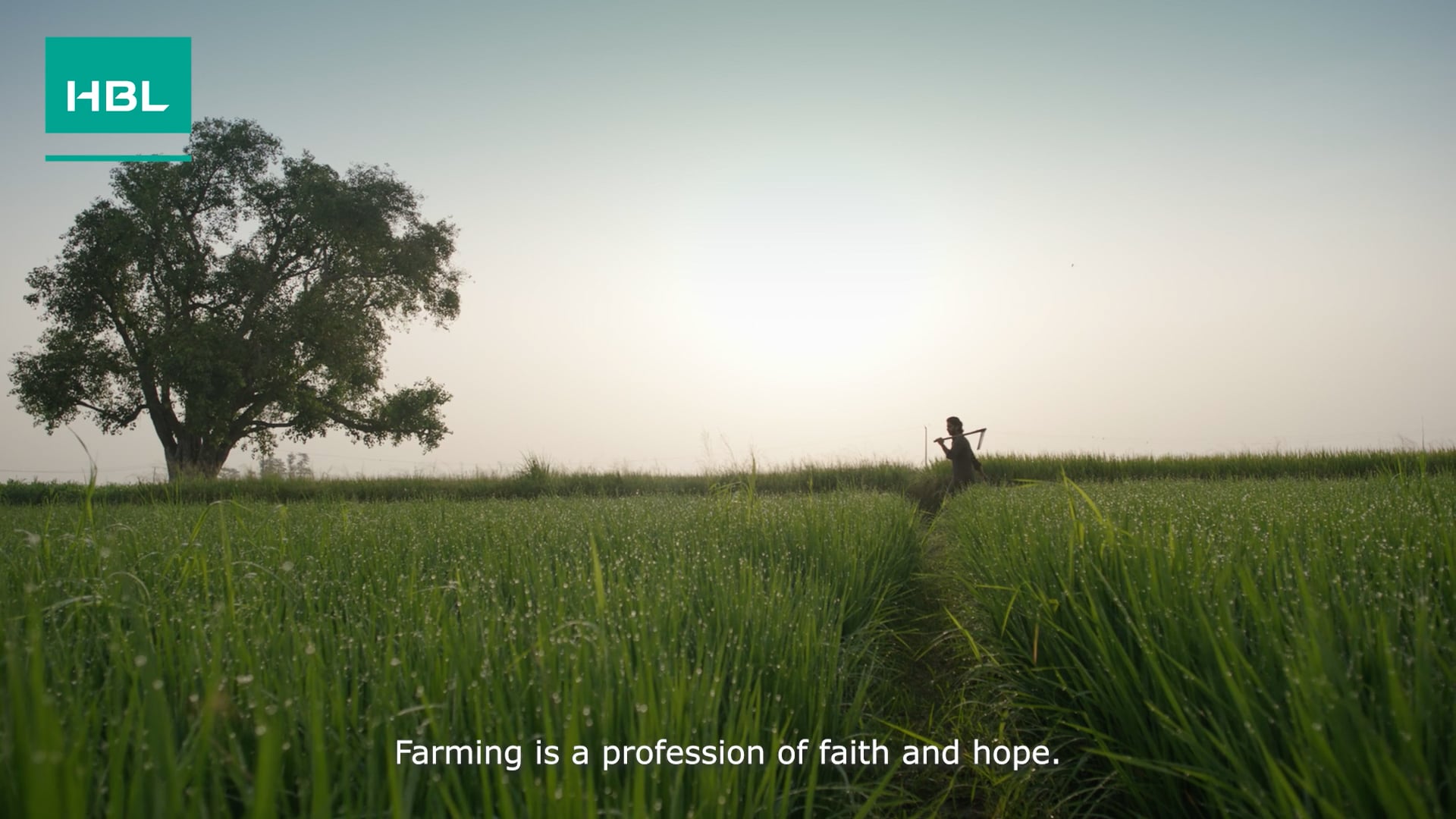 HBL - Farmer Film