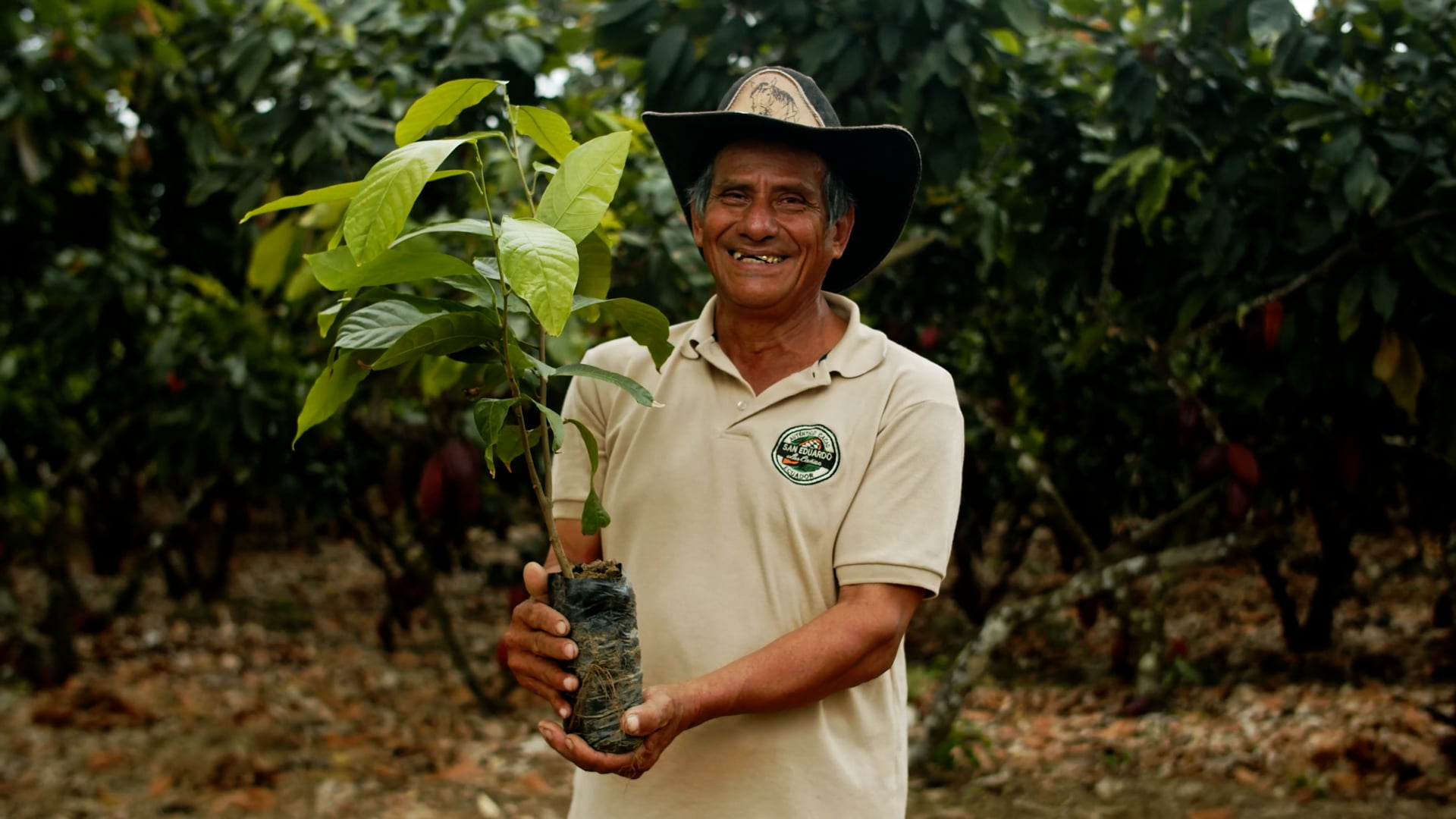 Short Documentary - Cacao