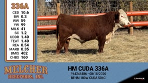 Lot #336 - HM CUDA 336A
