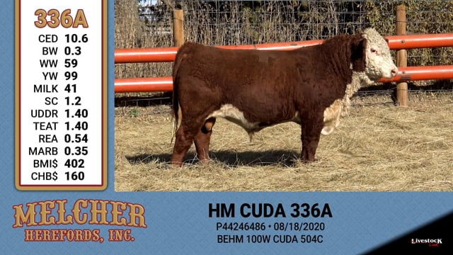 Lot #336 - HM CUDA 336A