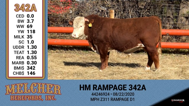 Lot #342 - HM RAMPAGE 342A