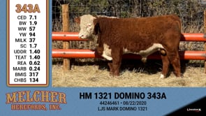 Lot #343 - HM 1321 DOMINO 343A