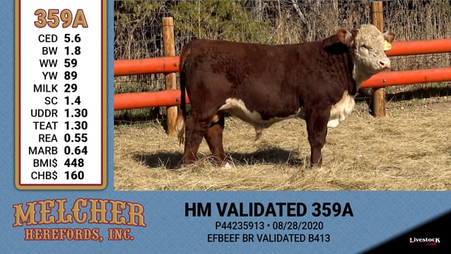 Lot #359 - HM VALIDATED 359A