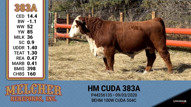 Lot #383 - HM CUDA 383A
