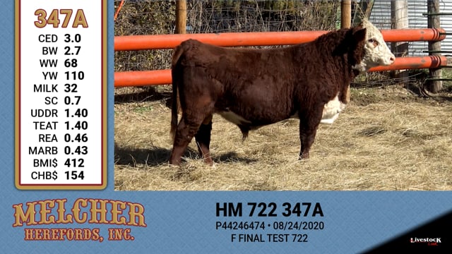 Lot #347 - HM 722 347A