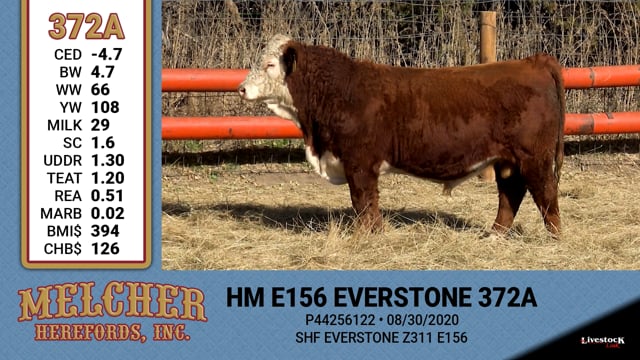 Lot #372 - HM E156 EVERSTONE 372A