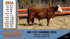 Lot #392 - HM 1321 DOMINO 392A