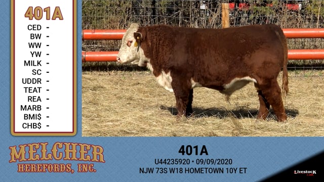 Lot #401 - HM 10Y 401A ET