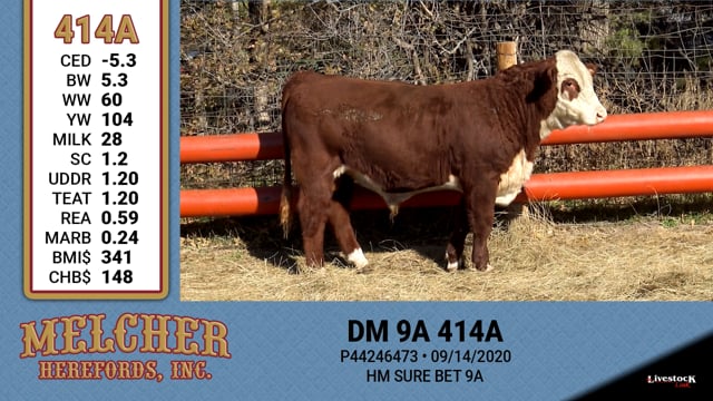 Lot #414 - DM 9A 414A