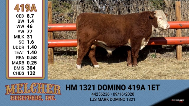 Lot #419 - HM 1321 DOMINO 419A 1ET