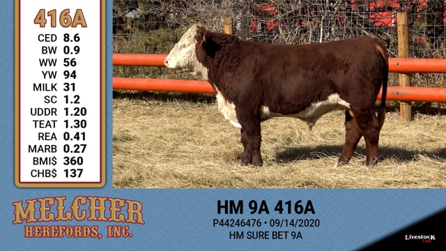Lot #416 - HM 9A 416A