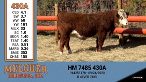 Lot #430 - HM 7485 430A