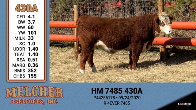 Lot #430 - HM 7485 430A