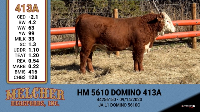 Lot #413 - HM 5610 DOMINO 413A