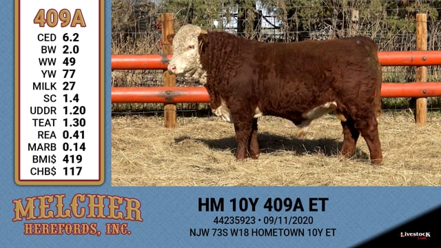 Lot #409 - HM 10Y 409A ET