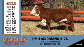 Lot #412 - HM 4163 DOMINO 412A