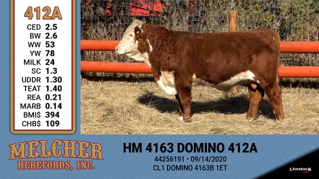 Lot #412 - HM 4163 DOMINO 412A
