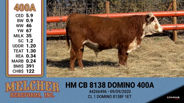 Lot #400 - HM CB 8138 DOMINO 400A