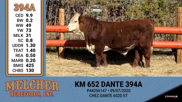 Lot #394 - KM 652 DANTE 394A