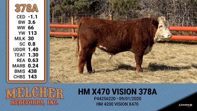 Lot #378 - HM X470 VISION 378A
