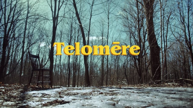 Telomēre - "Sequoia Part 1: Ashes" (Official Music Video)