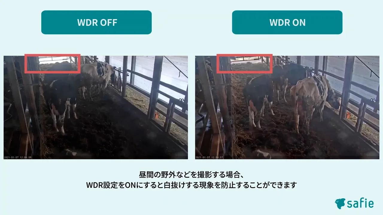 WDR(ワイドダイナミックレンジ)設定方法 – Safieサポートセンター